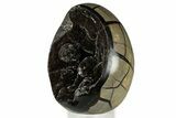 Septarian Dragon Egg Geode - Sparkly Black Crystals #329495-1